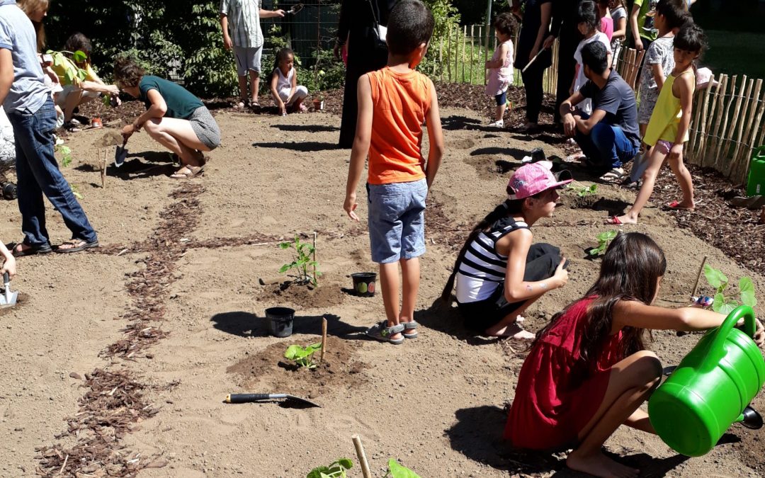 Kinder sitzen an einem Beet und pflanzen Bluem ein.
